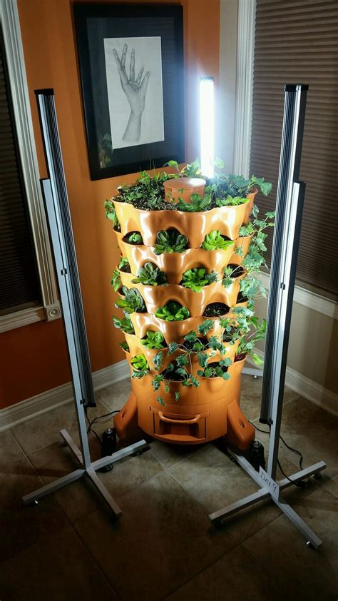 The Benefits of Using Mother Grow Lights in Gardening